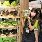 亞洲素食展開幕，各位除可「素」貨，還能發現這些關愛地球的產品和活動，同為環保出一分力！