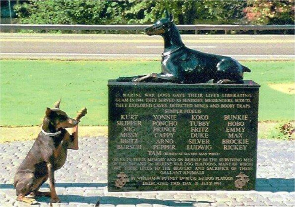關島上的軍犬紀念碑，紀念二次大戰時陣亡的25頭陸戰隊軍犬