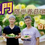 《營男當耕》：香港也可種菇！採用環保物料培植，新鮮即摘即煮，吃出菇的原味！