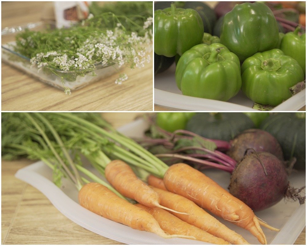 季節野菜包內的蔬食，均是當季最新鮮時令的食材。