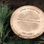 美國初創公司推樹葬服務 讓先人遺體轉化滋養樹木