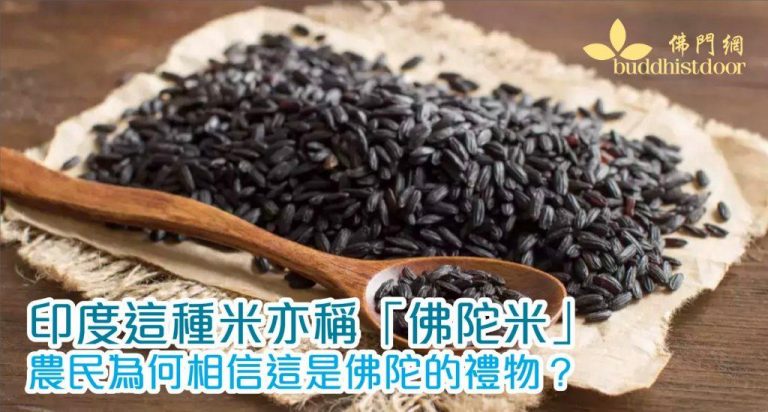 印度黑鹽米又稱「佛陀米」,含有多種營養素(圖:Times of India)。