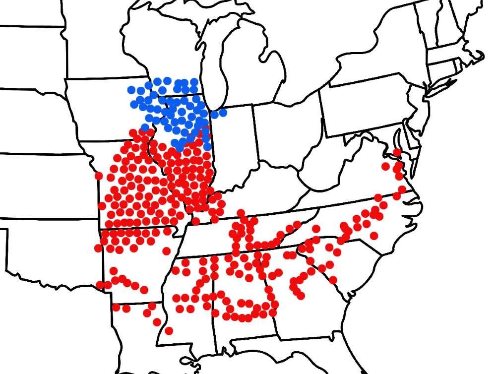 紅點為「19號蟬群」出現的地區；藍點為「13號蟬群」的。