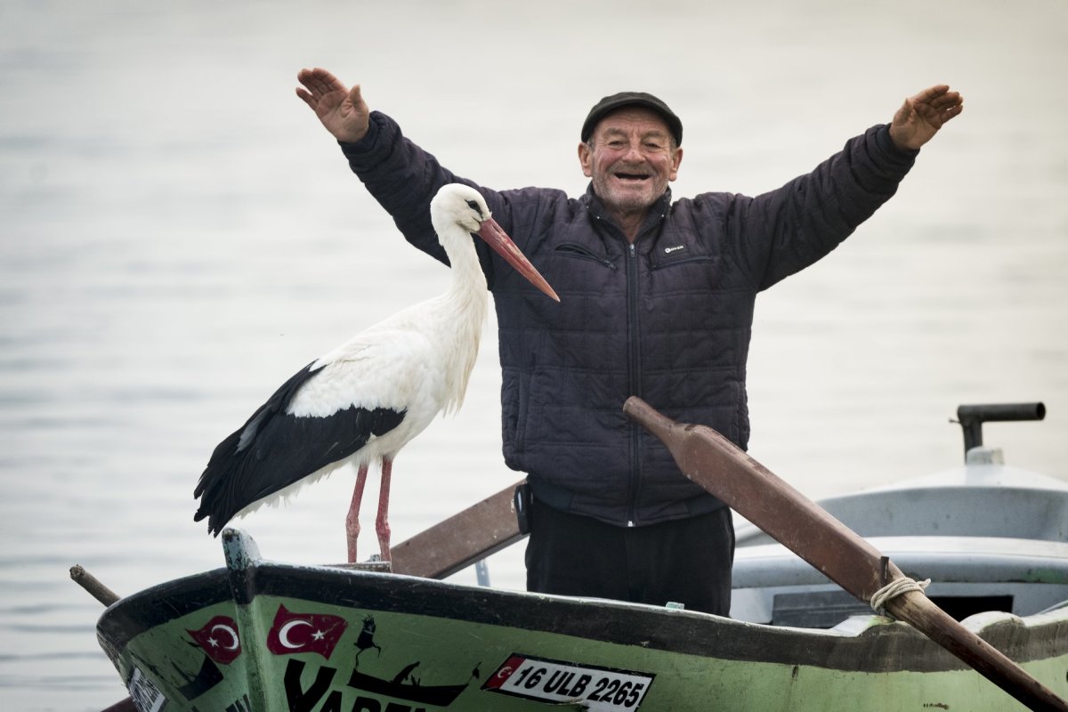 土耳其漁夫與白鸛連續13年每年相聚