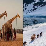 動物木偶2萬公里長征 呼籲關注氣候危機