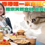 香港唯一素食貓Cafe，收養被遺棄貓貓，助牠們找到新主人。店主推崇天然蔬食入饌，帶來創意素食餐單！