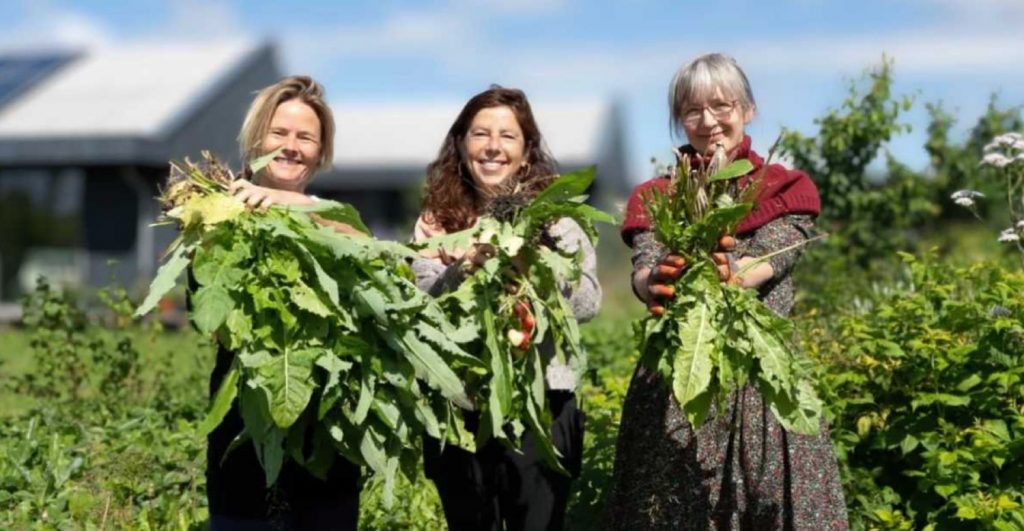 （圖片來源：Tara Schepers and Yolanda Sikking/Almere municipality）