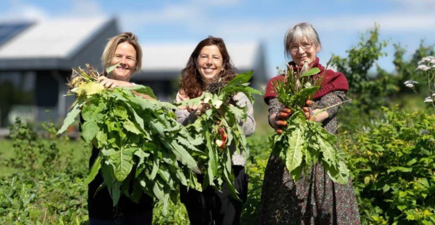 (圖片來源:Tara Schepers and Yolanda Sikking/Almere municipality)